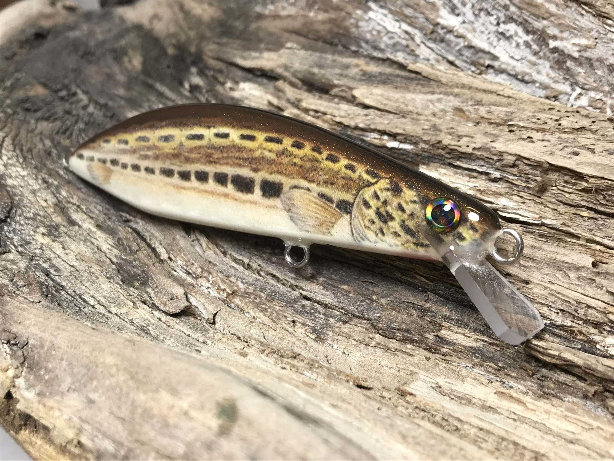 artificiali artigianali pesca spinning long jerk fiume lago trote marmorata cavedani black bass lucci luccio perca aspi siluri trota marmorata persico trota barracuda serra spigola tonno leccia made lures made italy